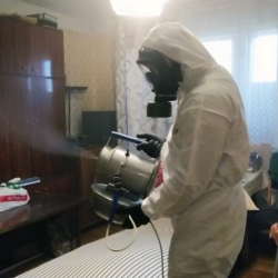 Дезинфекция от клопов в Будогощи