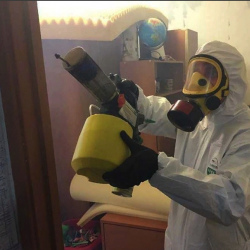 Уничтожение клопов в квартире. Будогощь